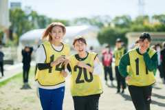 image_43_282