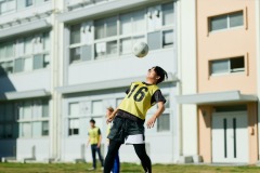 image_43_299
