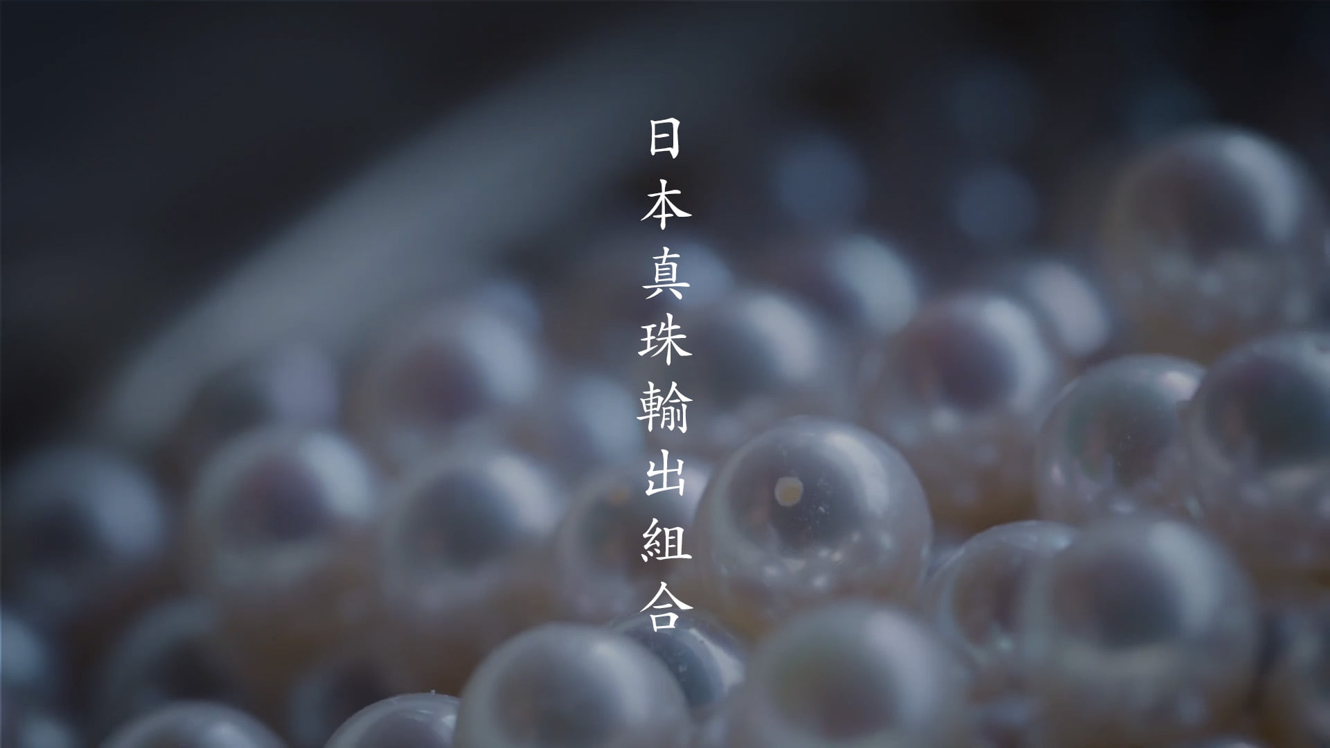 日本真珠輸出組合 - AVII IMAGEWORKS